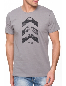 ARROW Lightgrey