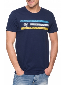 CALIFORNIA Navy