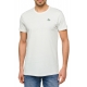 LIZARD White-Military